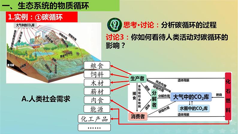 2023_2024学年同步备课精选高中生物3.3生态系统的物质循环课件新人教版选择性必修2第7页