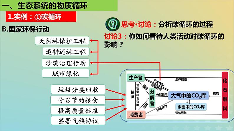 2023_2024学年同步备课精选高中生物3.3生态系统的物质循环课件新人教版选择性必修2第8页