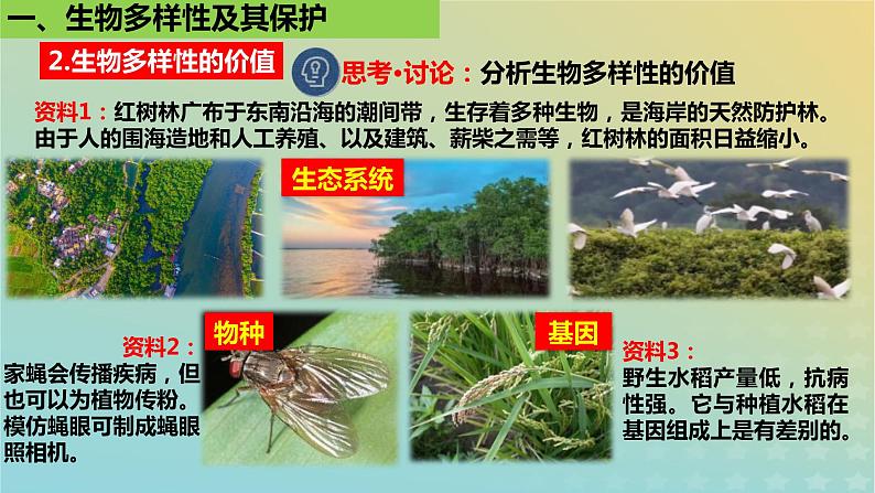 2023_2024学年同步备课精选高中生物4.2生物多样性及其保护课件新人教版选择性必修206