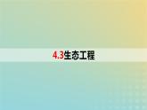 2023_2024学年同步备课精选高中生物4.3生态工程课件新人教版选择性必修2