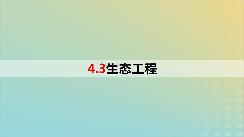 2023_2024学年同步备课精选高中生物4.3生态工程课件新人教版选择性必修2第1页