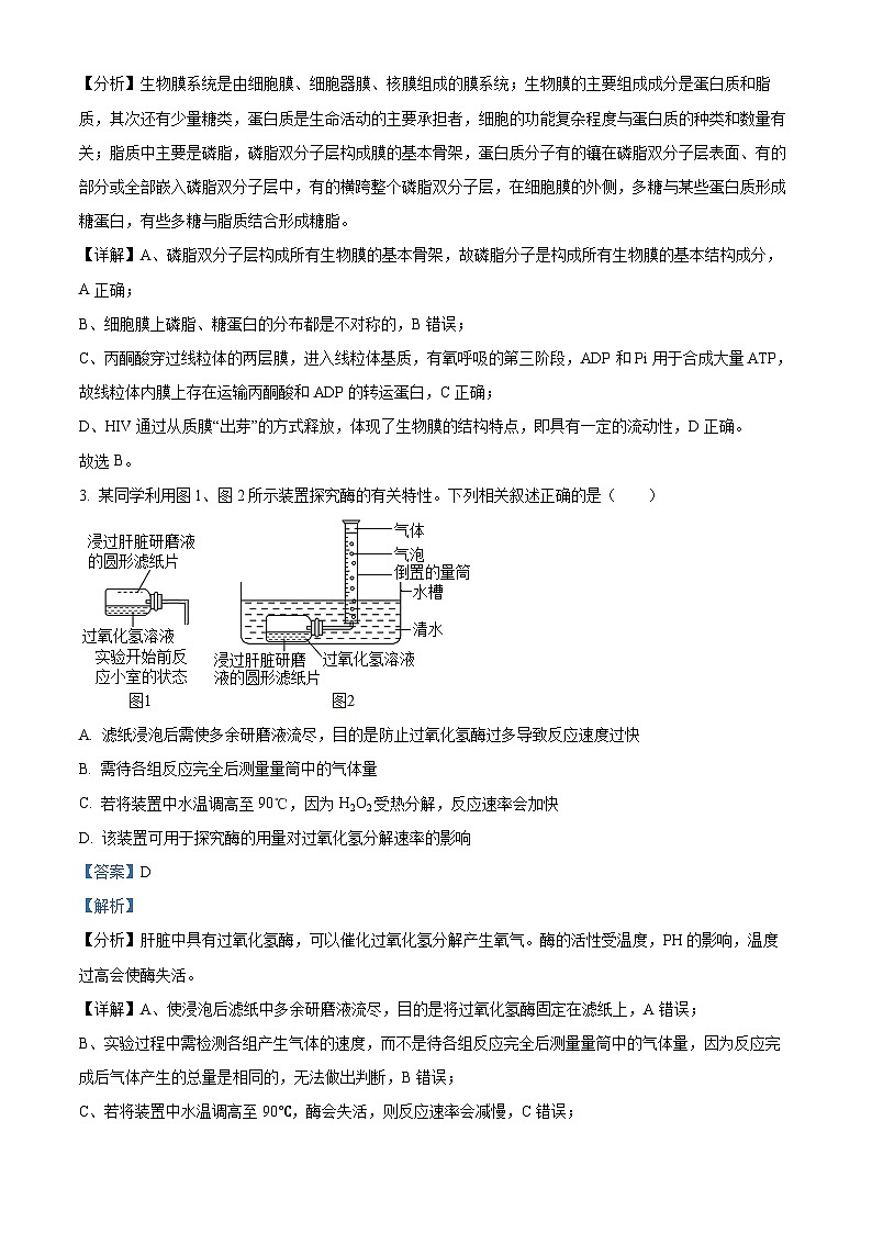 浙江省天域全国名校协作体2023-2024学年高三生物上学期10月联考试题（Word版附解析）02