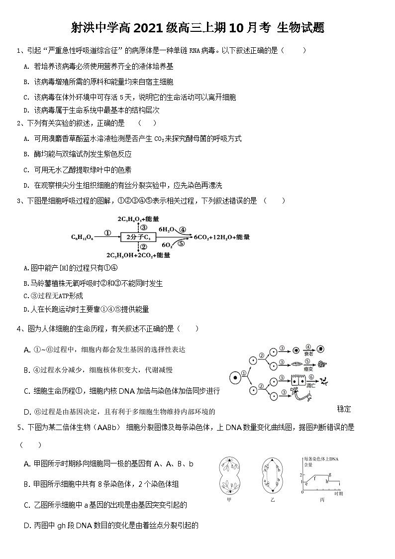 四川省射洪中学2024届高三生物上学期10月月考试题（Word版附答案）01