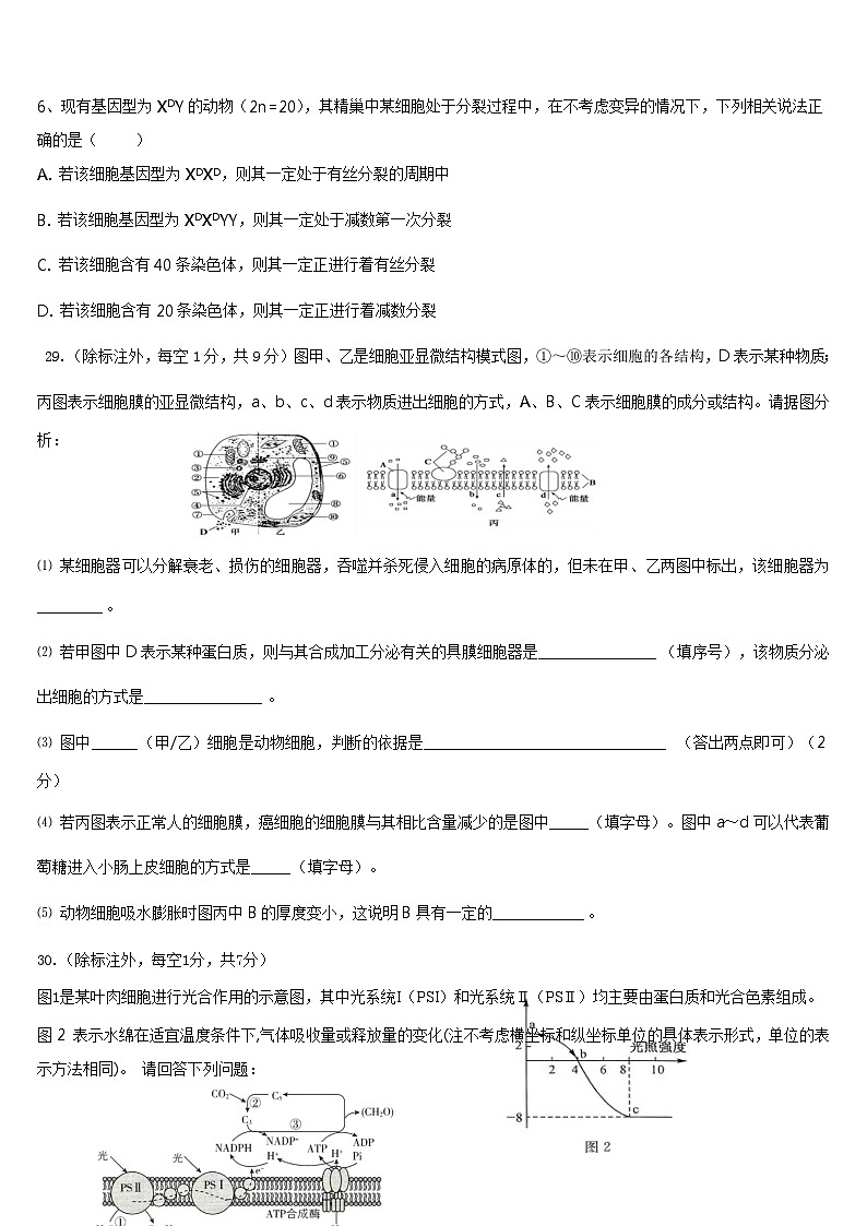四川省射洪中学2024届高三生物上学期10月月考试题（Word版附答案）02
