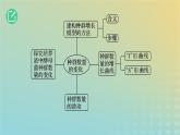 2023_2024学年同步备课精选高中生物1.2种群的数量变化第1课时课件新人教版选择性必修2