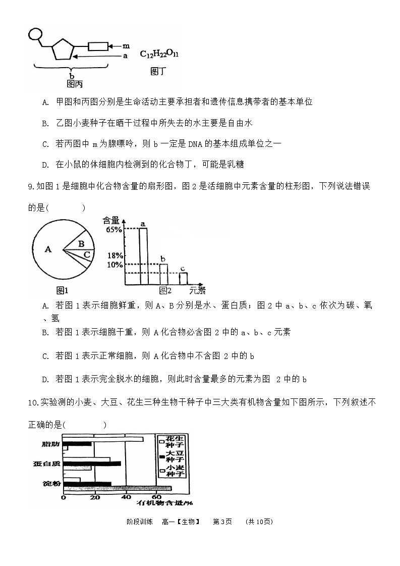 天津市北辰华辰中学2023-2024学年高一上学期月考生物试题03