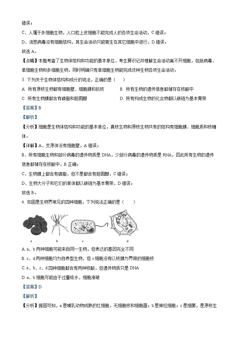 湖北省武汉市第三中学2023-2024学年高一生物上学期10月月考试题（Word版附解析）02
