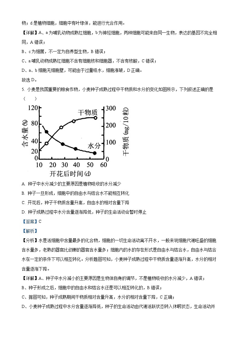 湖北省武汉市第三中学2023-2024学年高一生物上学期10月月考试题（Word版附解析）03