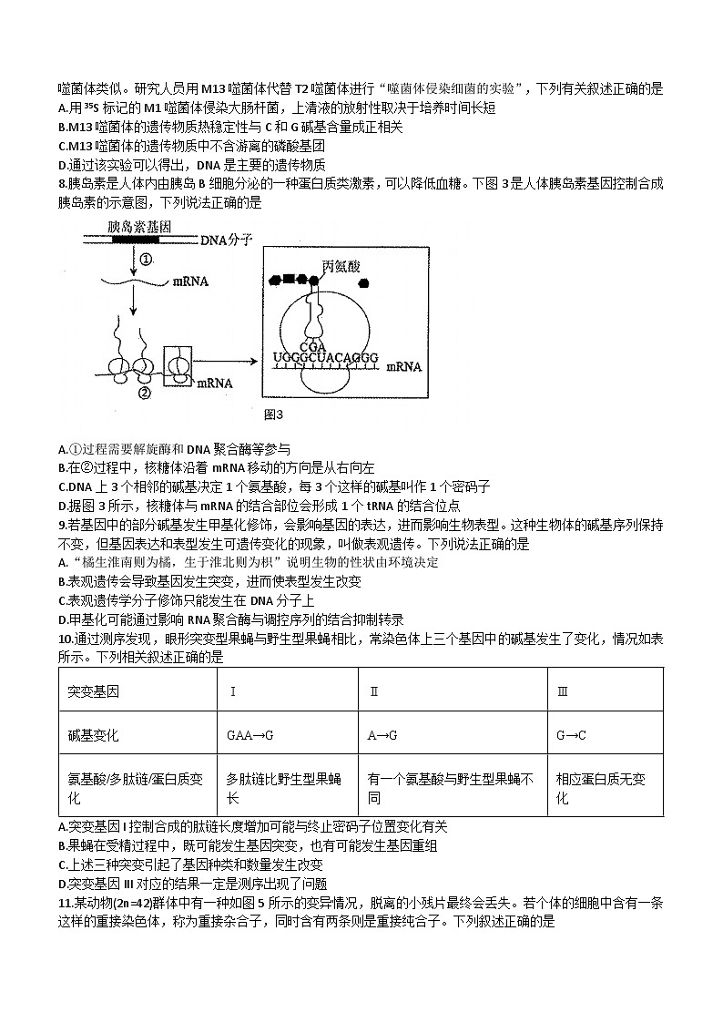 重庆市巴蜀中学2023-2024学年高二上学期第一次月考生物试题第3页