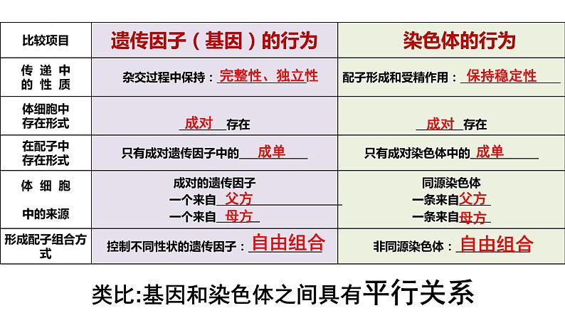 2.2《基因在染色体上》课件PPT04