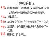 2.2《基因在染色体上》课件PPT