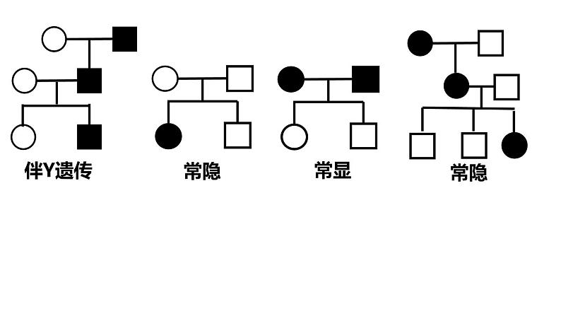 5.3人类遗传病。 课件PPT04