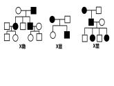 5.3人类遗传病。 课件PPT