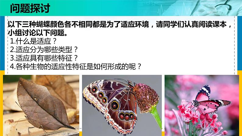 6.2《自然选择与适应的形成》。课件PPT第3页