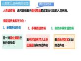 5.3人类遗传病第5章第3节课件PPT