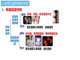 5.3人类遗传病第5章第3节课件PPT