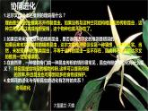 6.4《协同进化与生物多样性的形成》。课件PPT