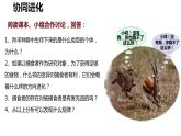 6.4《协同进化与生物多样性的形成》。课件PPT