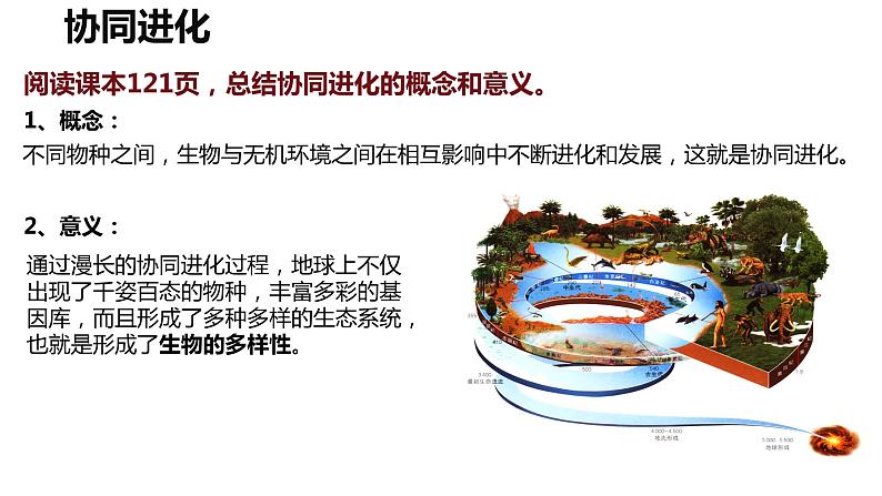 6.4《协同进化与生物多样性的形成》。课件PPT第7页