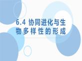 6.4《协同进化与生物多样性的形成》。。课件PPT