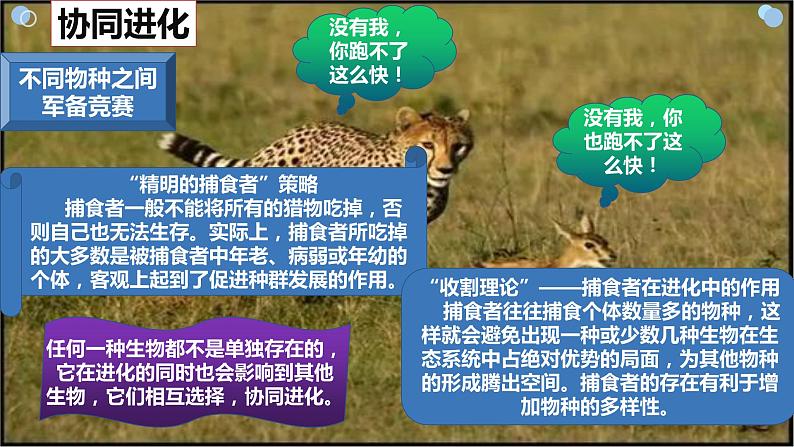 6.4《协同进化与生物多样性的形成》。。课件PPT04