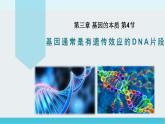 必修2 3.4基因通常是有遗传效应的DNA片段  庞章娜 2023.3.17