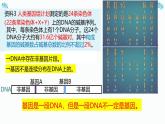 必修2 3.4基因通常是有遗传效应的DNA片段  庞章娜 2023.3.17