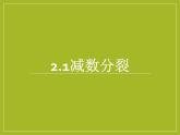 减数分裂说课pptx
