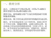 减数分裂说课pptx
