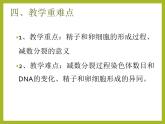 减数分裂说课pptx
