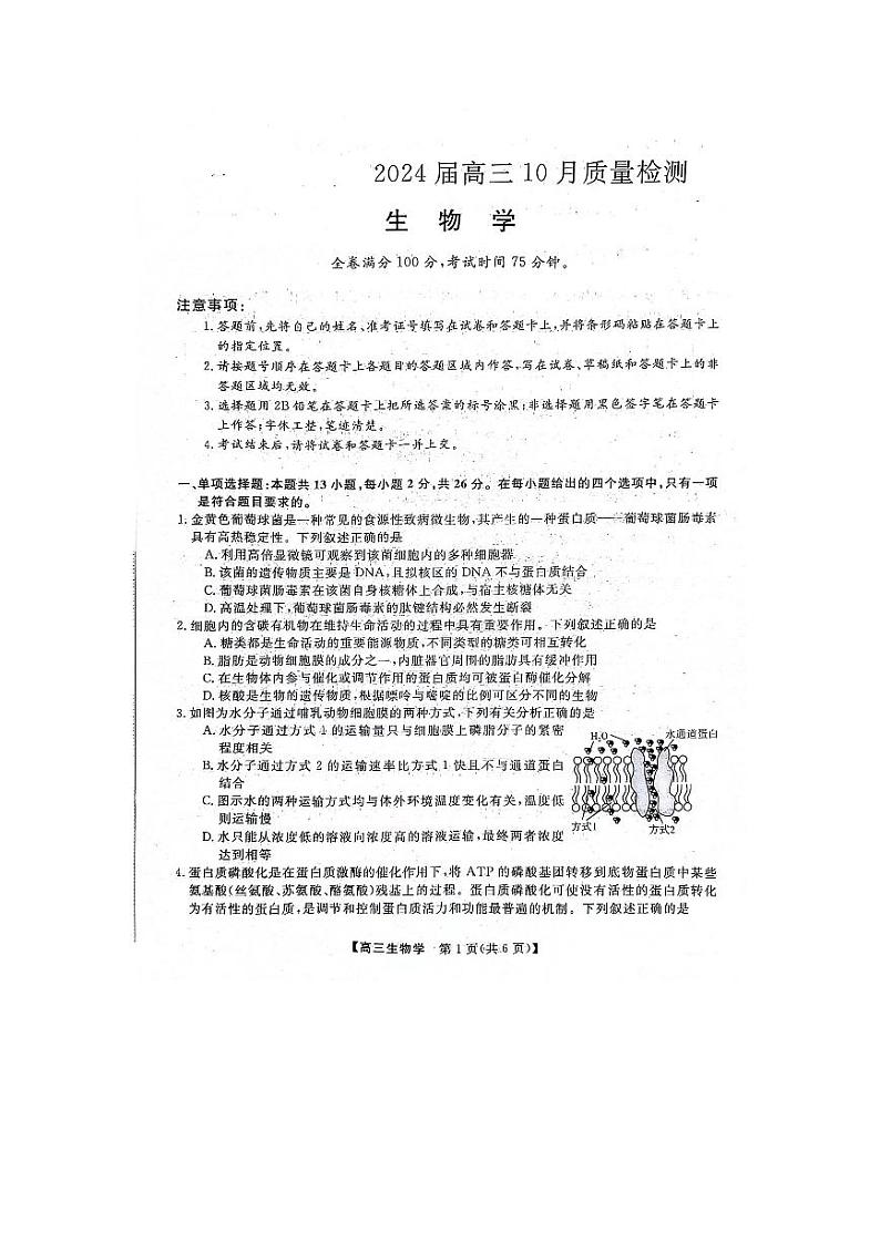 2024河北省部分学校高三上学期10月联考生物试题扫描版含解析第1页