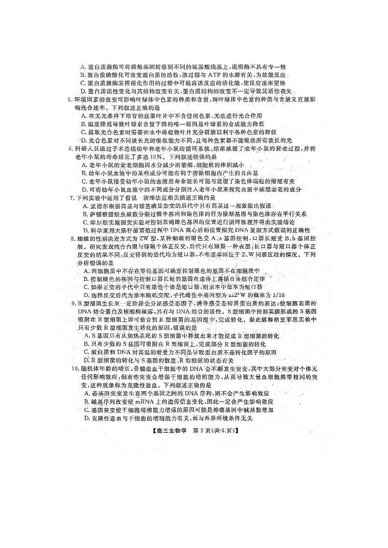 2024河北省部分学校高三上学期10月联考生物试题扫描版含解析第2页