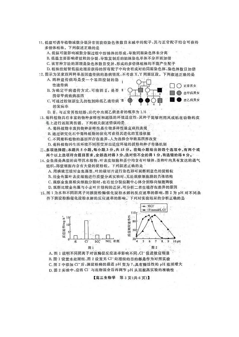 2024河北省部分学校高三上学期10月联考生物试题扫描版含解析第3页
