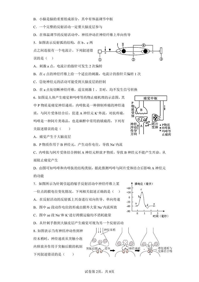 2024菏泽单县单县二中高二上学期10月月考生物试题pdf版含答案02
