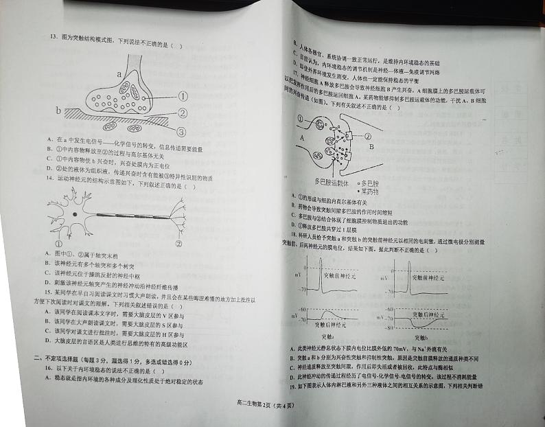 辽宁省辽东南协作校2023-2024学年高二上学期10月月考生物试题第2页