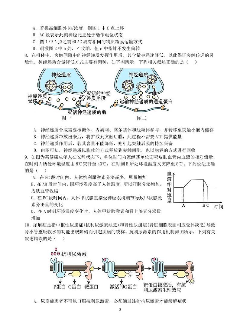2024盐城五校高二上学期10月联考生物试题扫描版含答案03