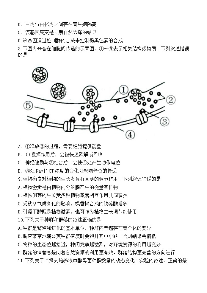 新高考生物模拟练习卷01（含答案）第3页