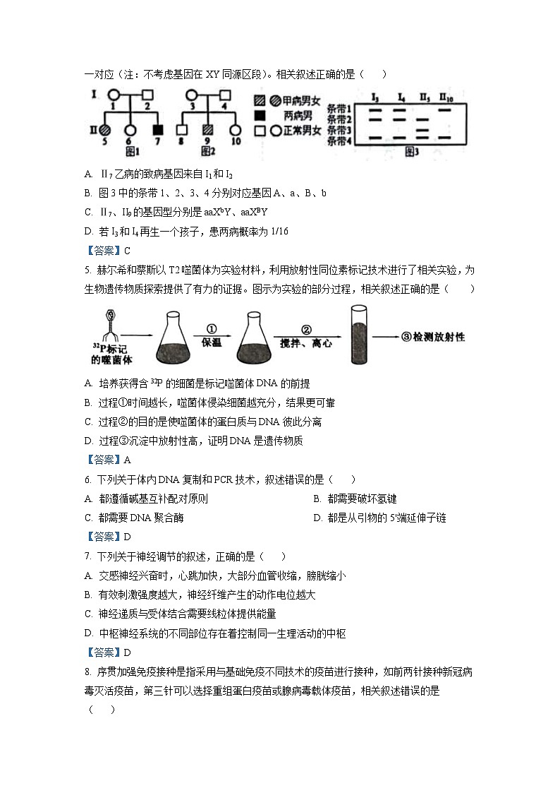 新高考生物模拟练习卷02（含答案）第2页