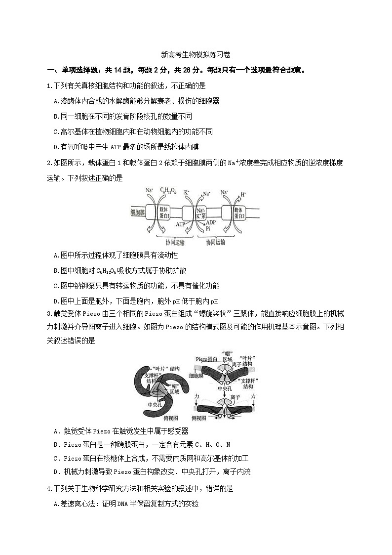 新高考生物模拟练习卷03（含答案）第1页