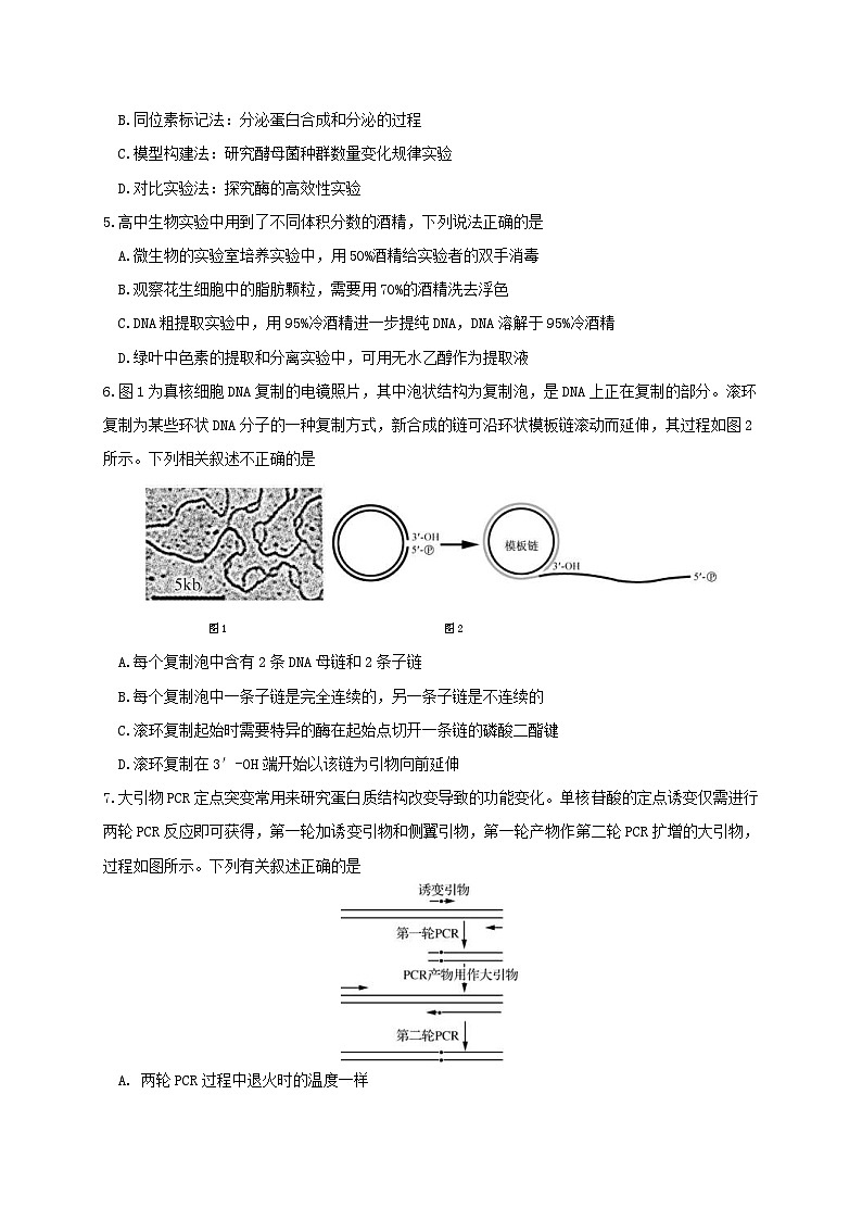 新高考生物模拟练习卷03（含答案）第2页
