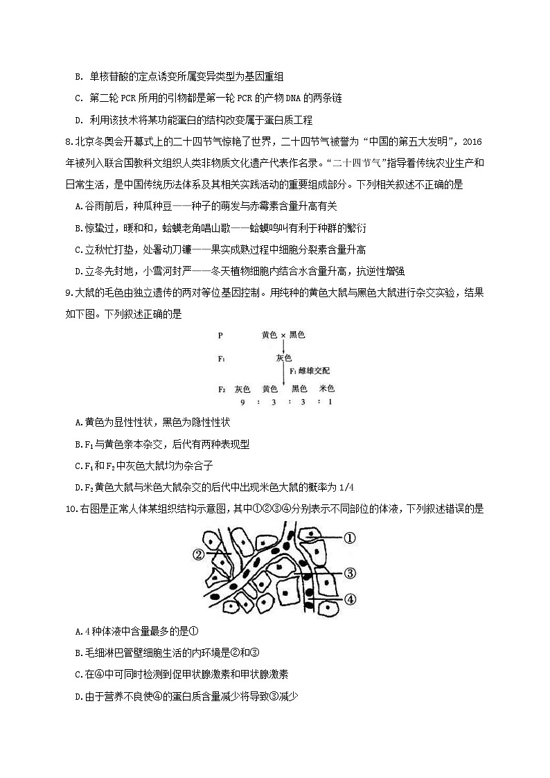新高考生物模拟练习卷03（含答案）第3页