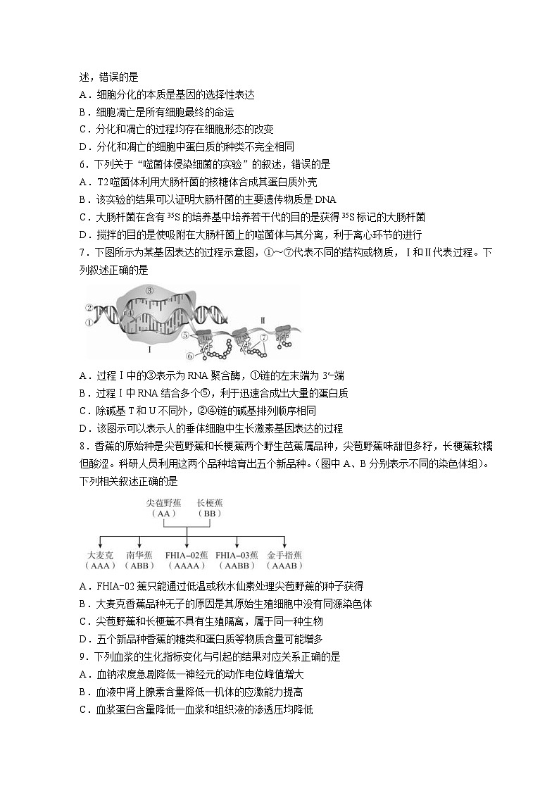新高考生物模拟练习卷05（含答案）第2页