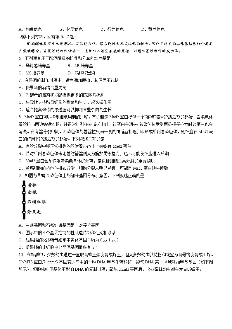 新高考生物模拟练习卷07（含答案）第2页