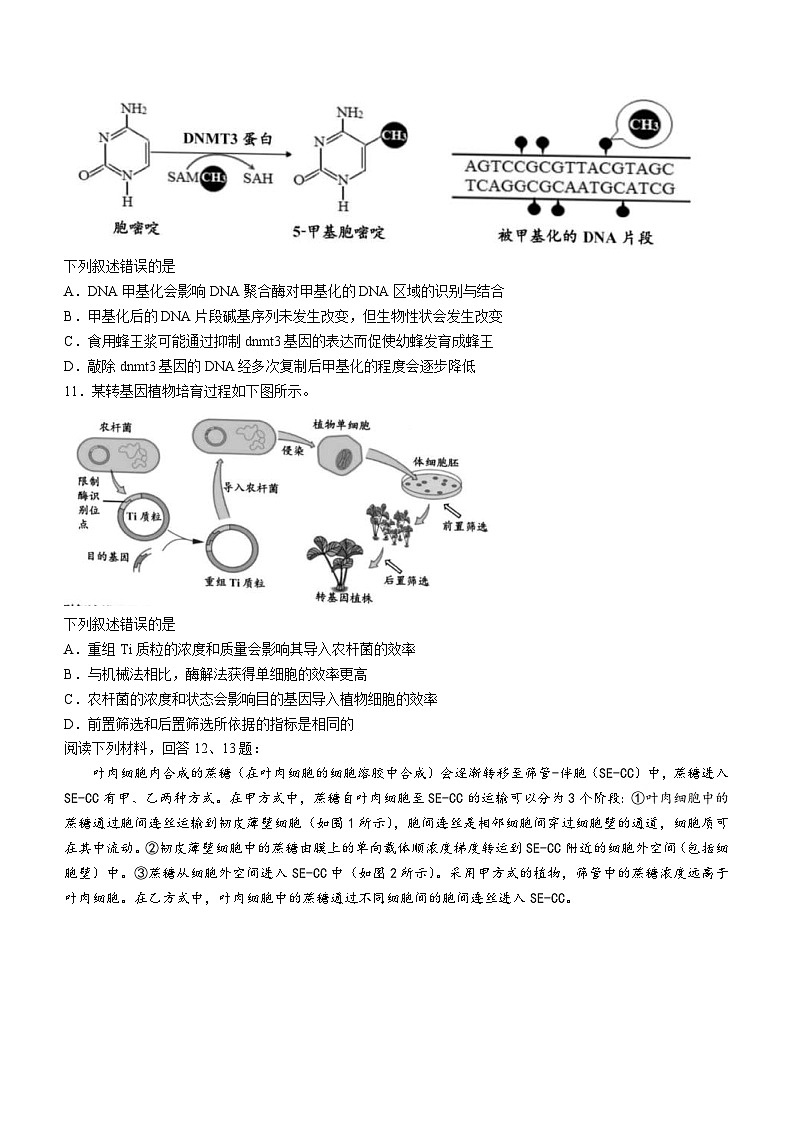 新高考生物模拟练习卷07（含答案）第3页