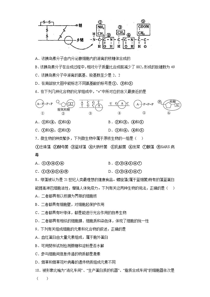 新高考生物模拟练习卷08（含答案）第2页