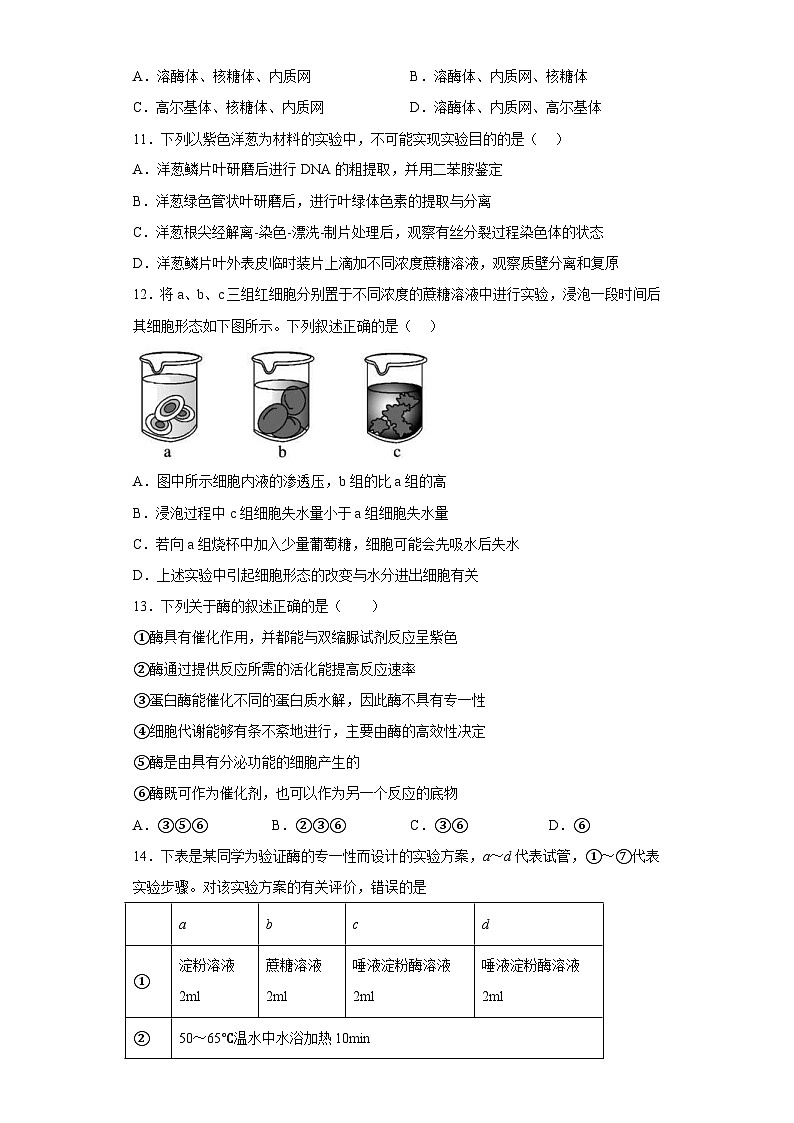 新高考生物模拟练习卷08（含答案）第3页