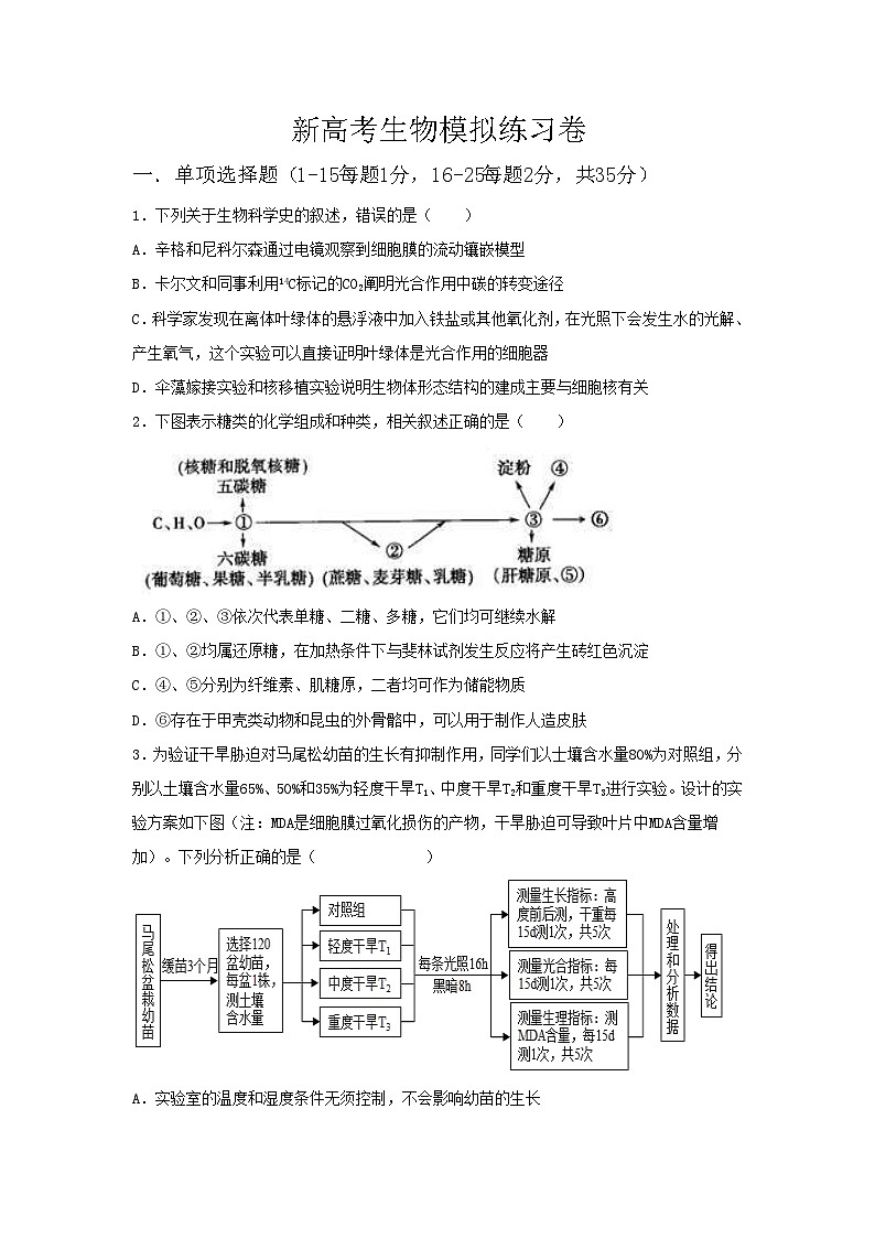 新高考生物模拟练习卷11（含答案）第1页