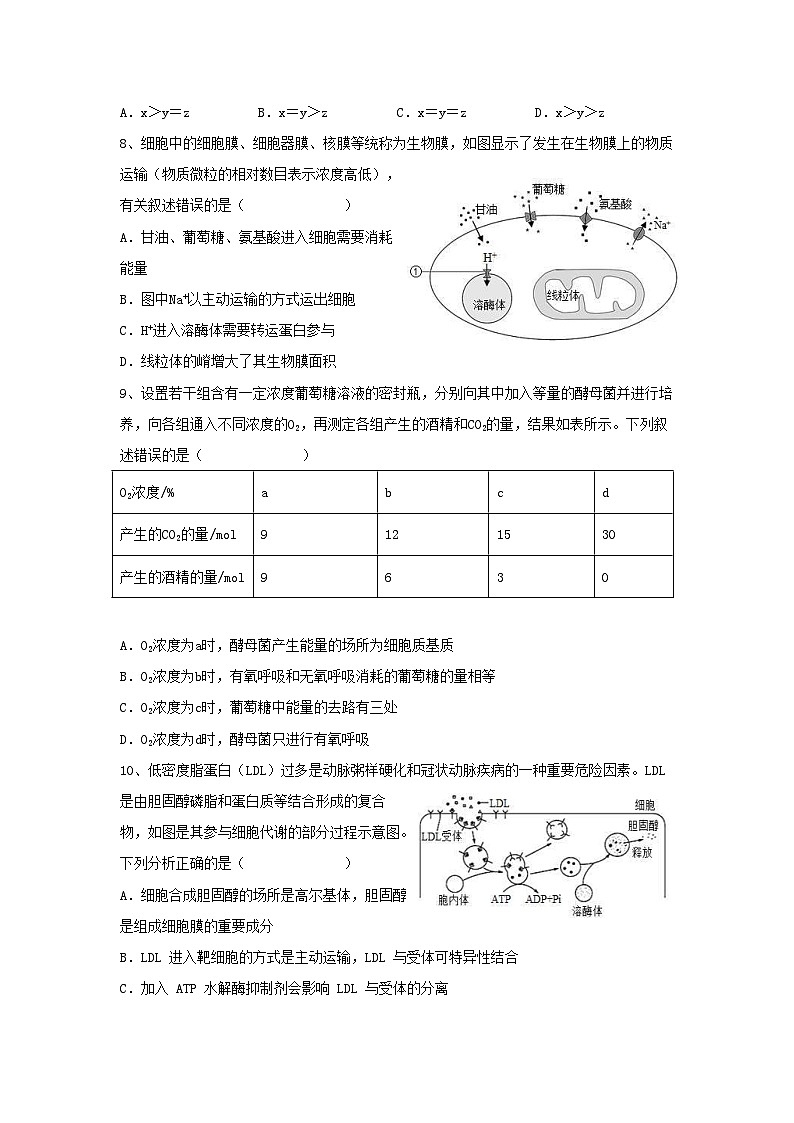 新高考生物模拟练习卷11（含答案）第3页