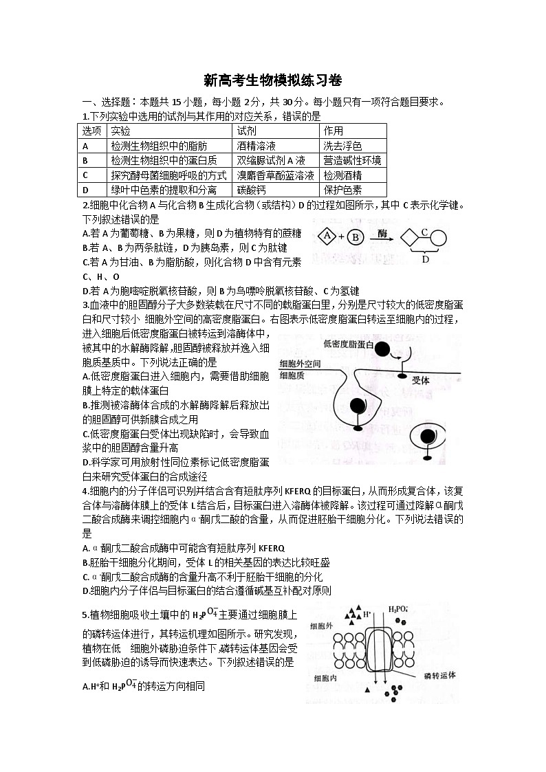 新高考生物模拟练习卷12（含答案）第1页