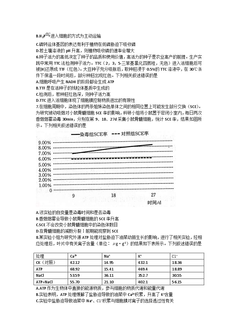新高考生物模拟练习卷12（含答案）第2页